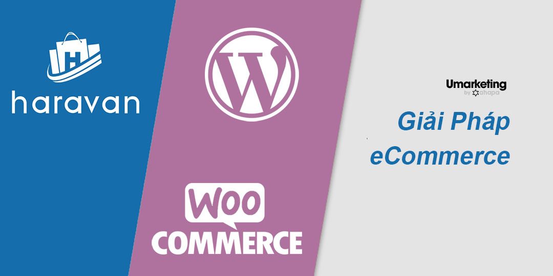 Haravan và WordPress