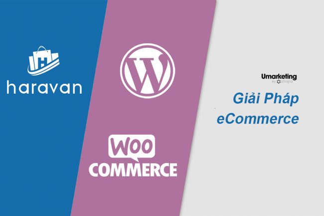 Haravan và WordPress Haravan và WordPress